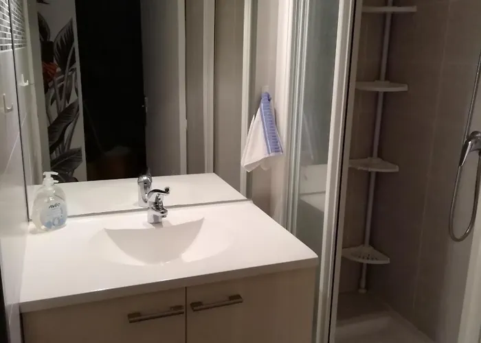 Coquet T3 Bord Lagon Bras De Cap D'agde * Agde