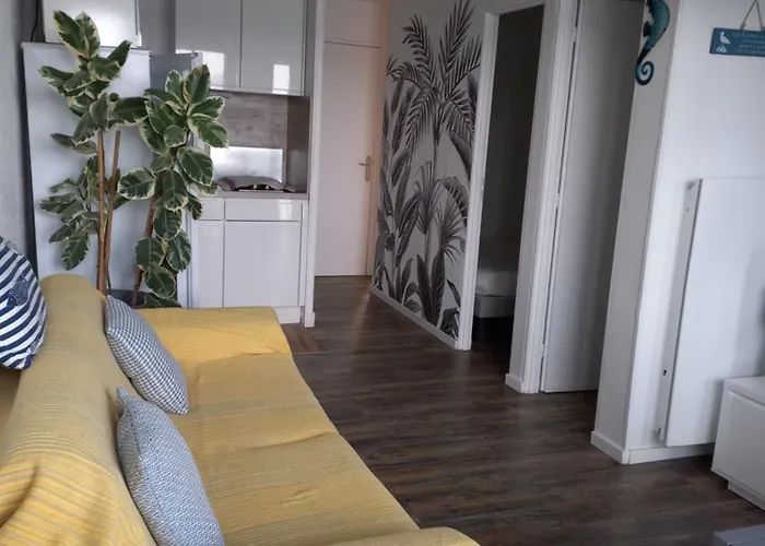 Apartamento Coquet T3 Bord Lagon Bras De Cap D'agde